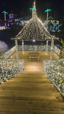 美らヤシパークオキナワ・東南植物楽園に投稿された画像（2023/11/17）