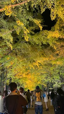 国営昭和記念公園 秋の夜散歩に投稿された画像（2023/11/17）