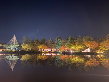 国営昭和記念公園 秋の夜散歩に投稿された画像（2023/11/17）
