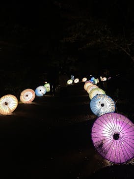 国営昭和記念公園 秋の夜散歩に投稿された画像（2023/11/17）