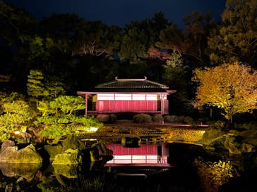 NAKED meets 二条城 2025 観月に投稿された画像（2023/11/17）