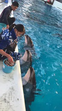 横浜・八景島シーパラダイスに投稿された画像（2023/11/17）