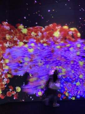 チームラボに投稿された画像（2023/11/17）