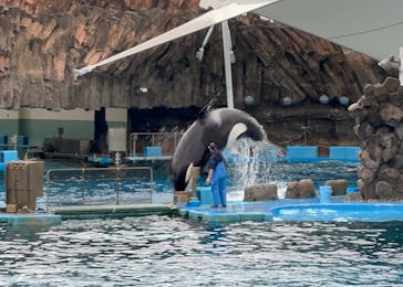 名古屋港水族館に投稿された画像（2023/11/17）