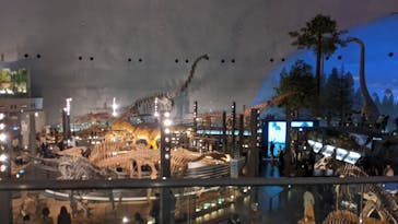 福井県立恐竜博物館に投稿された画像（2023/11/17）