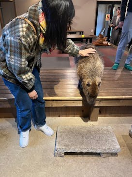 おさるランド＆アニタウン　日光さる軍団劇場に投稿された画像（2023/11/17）