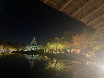 国営昭和記念公園 秋の夜散歩に投稿された画像（2023/11/17）