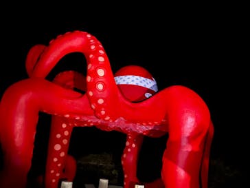 宮古島 ADVENTURE PiPi（ミヤコジマ アドベンチャー ピピ）に投稿された画像（2023/11/17）