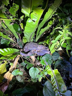 宮古島 ADVENTURE PiPi（ミヤコジマ アドベンチャー ピピ）に投稿された画像（2023/11/17）