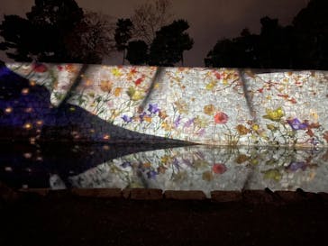 NAKED meets 二条城 2025 観月に投稿された画像（2023/11/17）