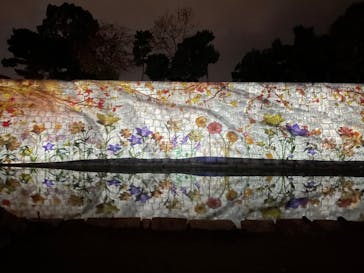 NAKED meets 二条城 2025 観月に投稿された画像（2023/11/17）