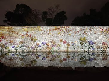 NAKED meets 二条城 2025 観月に投稿された画像（2023/11/17）