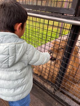 那須サファリパークに投稿された画像（2023/11/17）