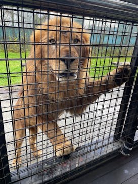 那須サファリパークに投稿された画像（2023/11/17）