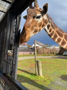 那須サファリパークに投稿された画像（2023/11/17）