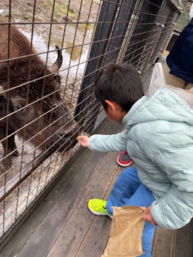 那須サファリパークに投稿された画像（2023/11/17）