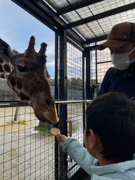 那須サファリパークに投稿された画像（2023/11/17）