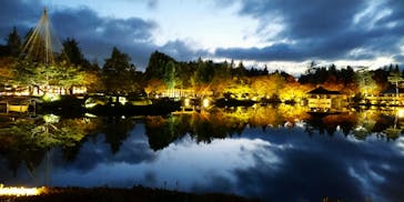 国営昭和記念公園 秋の夜散歩に投稿された画像（2023/11/17）