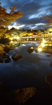 国営昭和記念公園 秋の夜散歩に投稿された画像（2023/11/17）