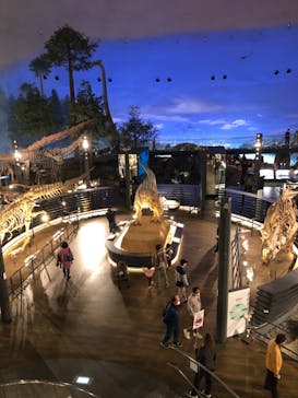 福井県立恐竜博物館に投稿された画像（2023/11/17）