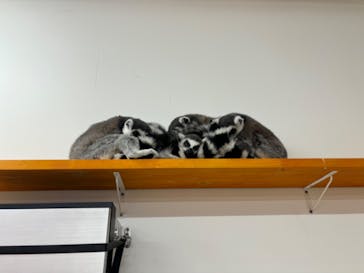 アニタッチ MARK IS 静岡に投稿された画像（2023/11/17）