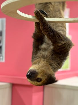 アニタッチ MARK IS 静岡に投稿された画像（2023/11/17）