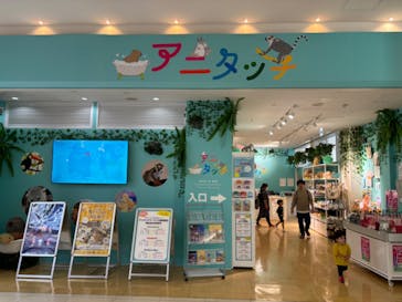 アニタッチ MARK IS 静岡に投稿された画像（2023/11/17）