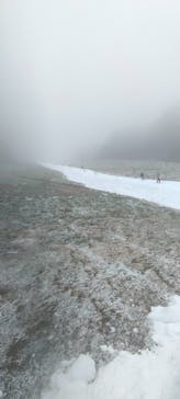 ホワイトピアたかすに投稿された画像（2023/11/18）