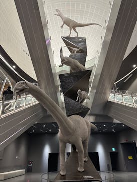 福井県立恐竜博物館に投稿された画像（2023/11/18）