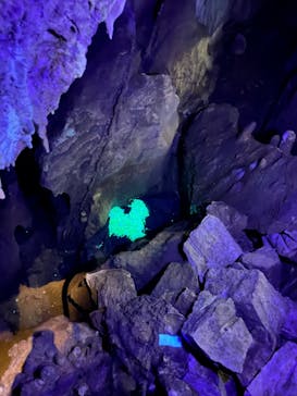 あぶくま洞に投稿された画像（2023/11/18）