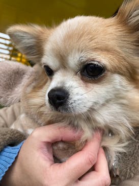 つくばわんわんランドに投稿された画像（2023/11/18）