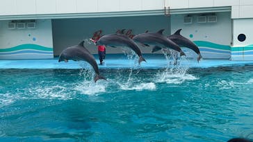 南知多ビーチランド＆南知多おもちゃ王国に投稿された画像（2023/11/18）