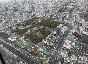 ハルカス300(展望台)に投稿された画像（2023/11/18）