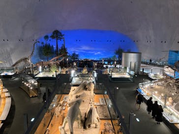 福井県立恐竜博物館に投稿された画像（2023/11/18）