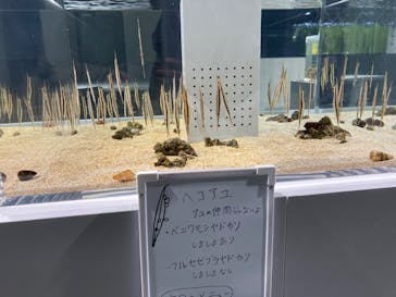 AOAO SAPPOROに投稿された画像（2023/11/18）