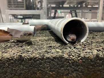 AOAO SAPPOROに投稿された画像（2023/11/18）