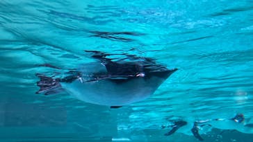 AOAO SAPPOROに投稿された画像（2023/11/18）