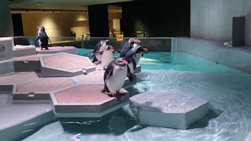 AOAO SAPPOROに投稿された画像（2023/11/18）