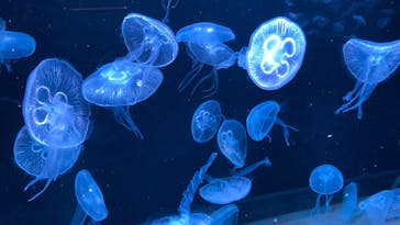 AOAO SAPPOROに投稿された画像（2023/11/18）