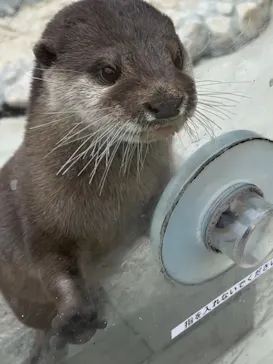 横浜・八景島シーパラダイスに投稿された画像（2023/11/18）