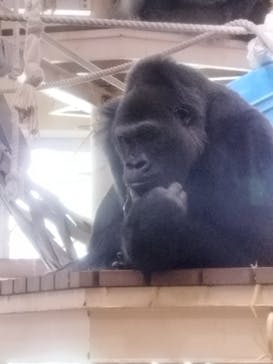 名古屋市東山動植物園に投稿された画像（2023/11/18）