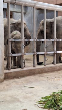 名古屋市東山動植物園に投稿された画像（2023/11/18）