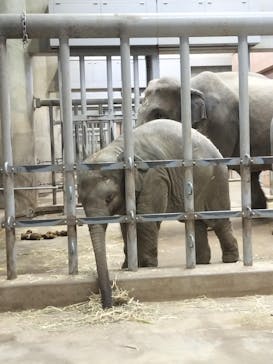 名古屋市東山動植物園に投稿された画像（2023/11/18）