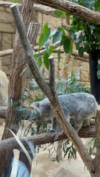 名古屋市東山動植物園に投稿された画像（2023/11/18）