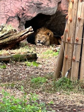 名古屋市東山動植物園に投稿された画像（2023/11/18）