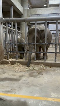 名古屋市東山動植物園に投稿された画像（2023/11/18）