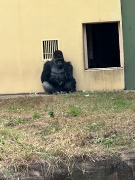 名古屋市東山動植物園に投稿された画像（2023/11/18）