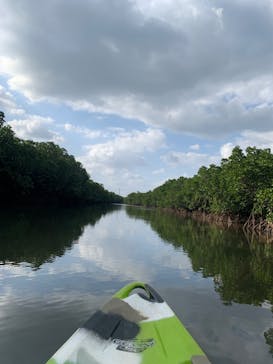 西表島 ADVENTURE PiPi（アドベンチャーピピ）に投稿された画像（2023/11/18）