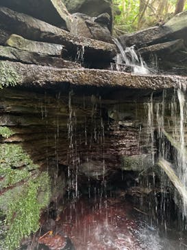 西表島 ADVENTURE PiPi（アドベンチャーピピ）に投稿された画像（2023/11/18）