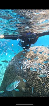 宮古島 ADVENTURE PiPi（ミヤコジマ アドベンチャー ピピ）に投稿された画像（2023/11/18）